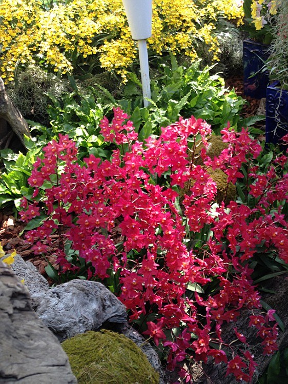 ��ת IMG_1590.jpg