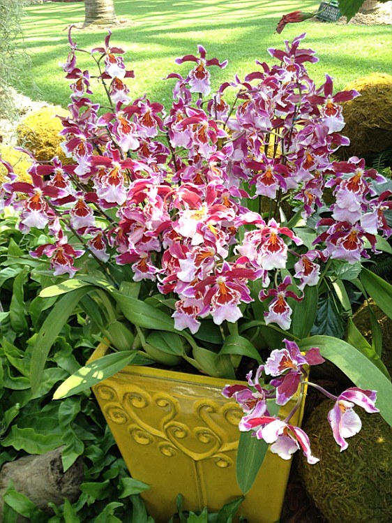 ��ת IMG_1591.jpg