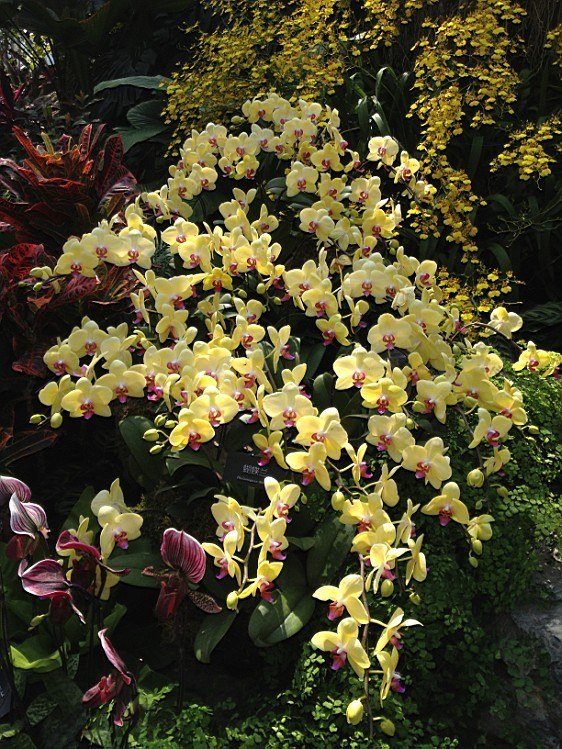 ��ת IMG_1600.jpg