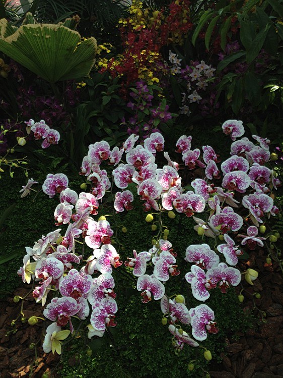 ��ת IMG_1604.jpg