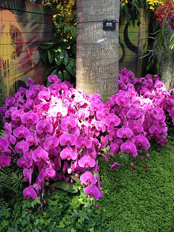 ��ת IMG_1605.jpg