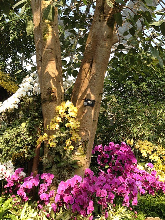 ��ת IMG_1617.jpg