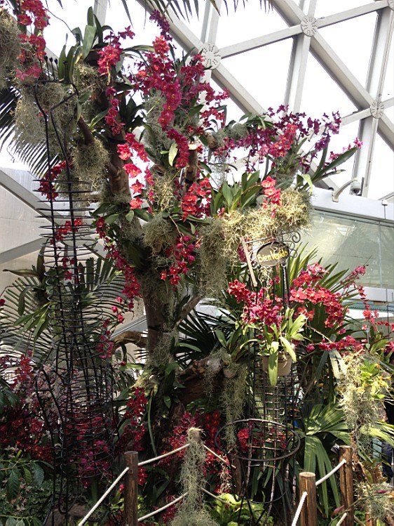 ��ת IMG_1578.jpg