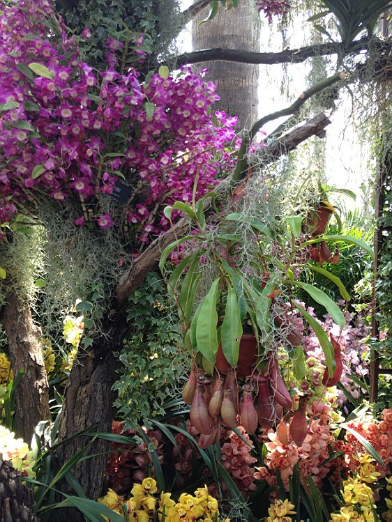 ��ת IMG_1582.jpg