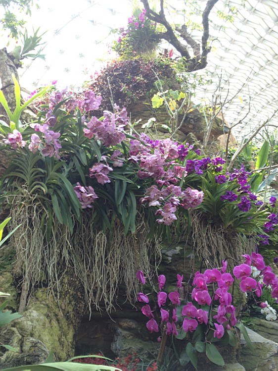 ��ת IMG_1592.jpg