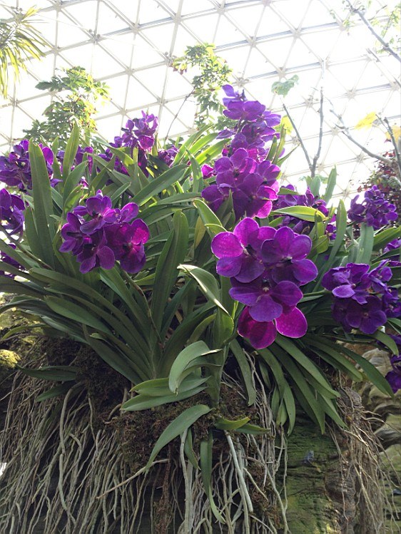 ��ת IMG_1593.jpg