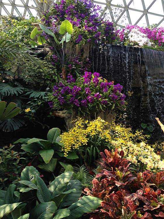 ��ת IMG_1602.jpg