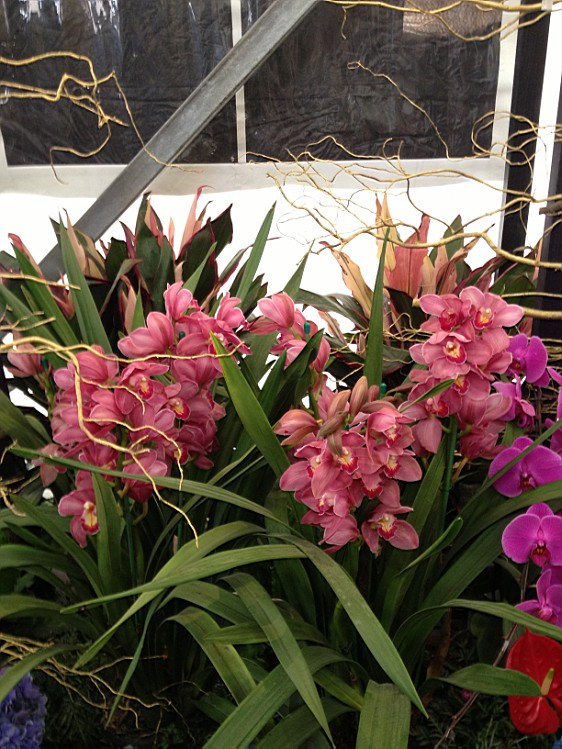 ��ת IMG_1560.jpg