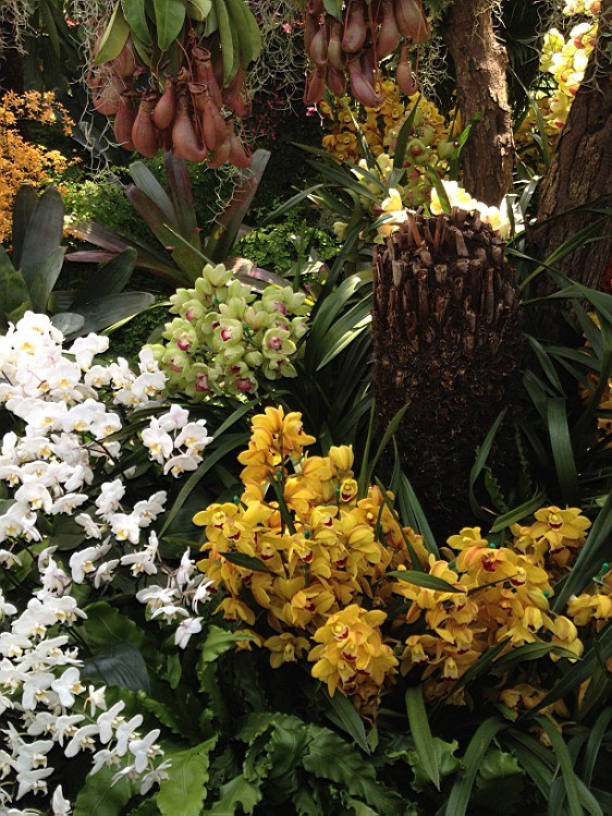 ��ת IMG_1580.jpg