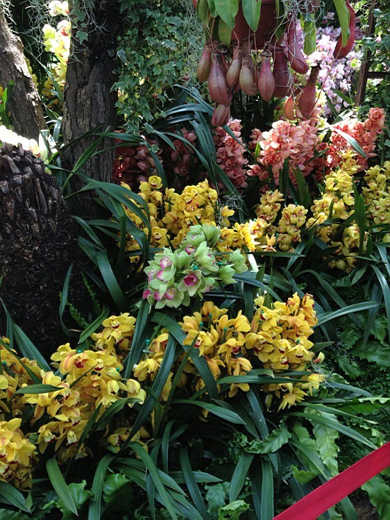 ��ת IMG_1581.jpg