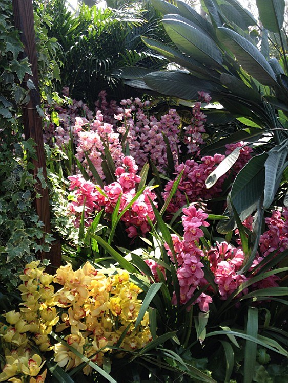 ��ת IMG_1583.jpg