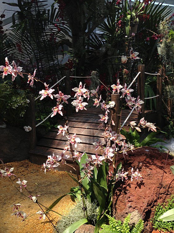 ��ת IMG_1576.jpg