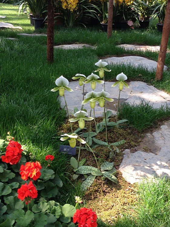 ��ת IMG_1608.jpg