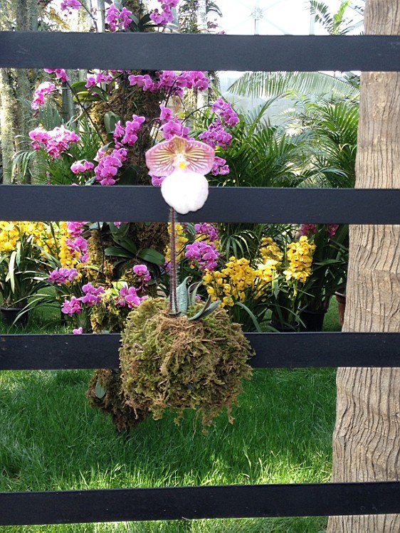 ��ת IMG_1609.jpg