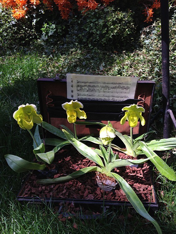 ��ת IMG_1607.jpg