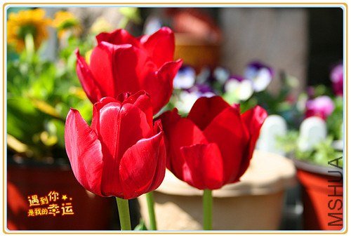 ��Ƭ 073_����.jpg