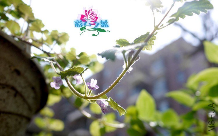 P1050543.jpg