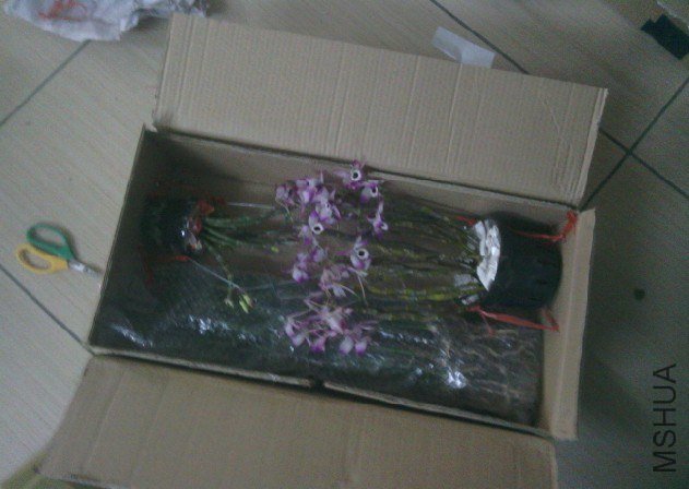 QQ��ͼ20130409101428.jpg