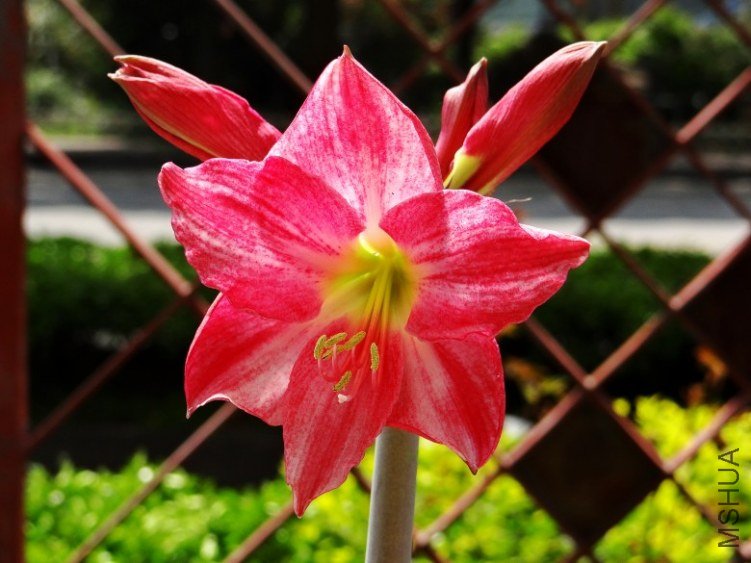 DSC00358_conew1.jpg