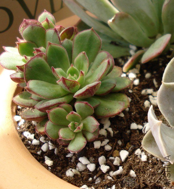 %G7BF_`X9)Q82L2NC)FN)19.jpg
