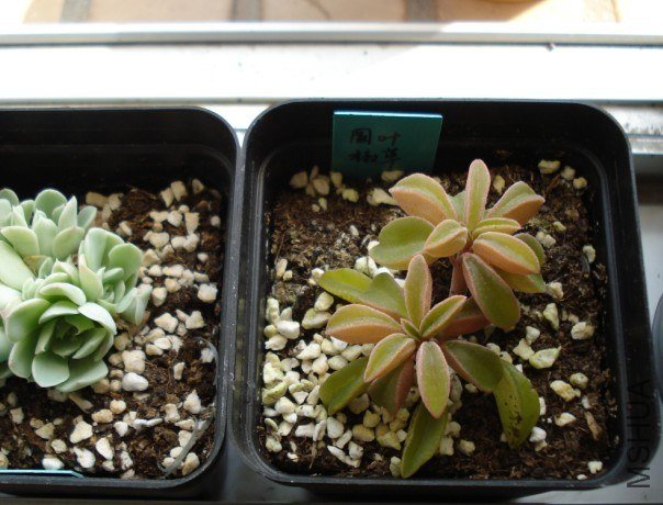 7TCCW~UJ(0%HR1%[V@P9T{1.jpg
