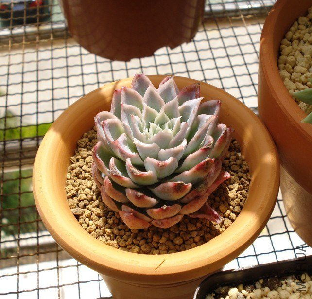 K0I(DV)UV)L{QPTCXCD$VMX.jpg