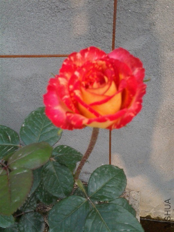0401b.jpg