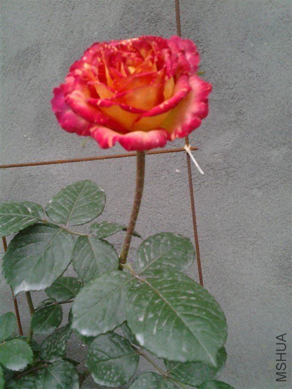 0402b.jpg
