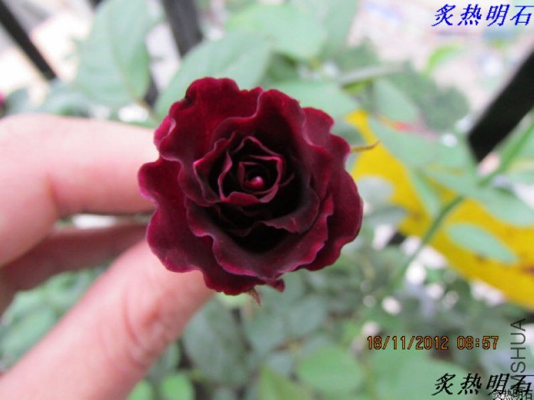 IMG_0054_nEO_IMG.jpg
