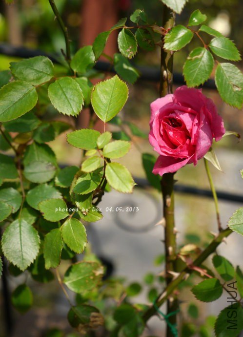 78b4dec9td9d20c10f8fe&690.jpg