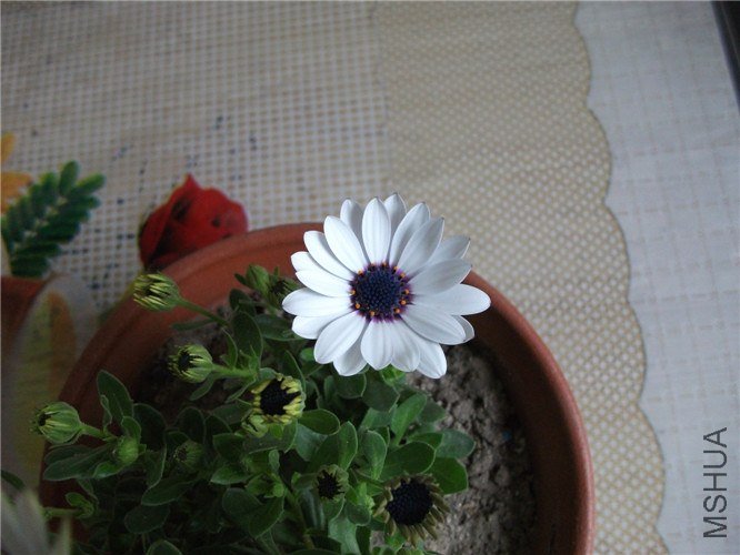 ��Ƭ 016.jpg