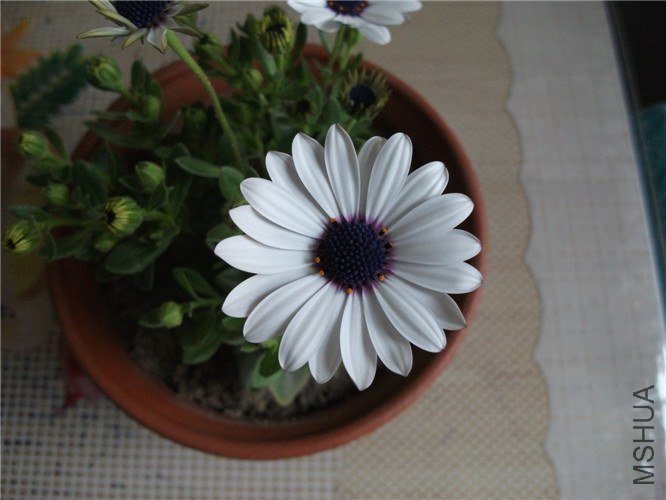 ��Ƭ 015.jpg