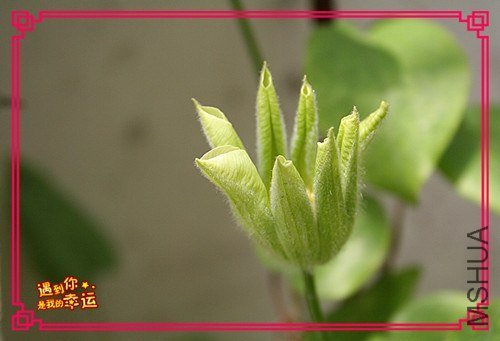 ��Ƭ 050_����.jpg