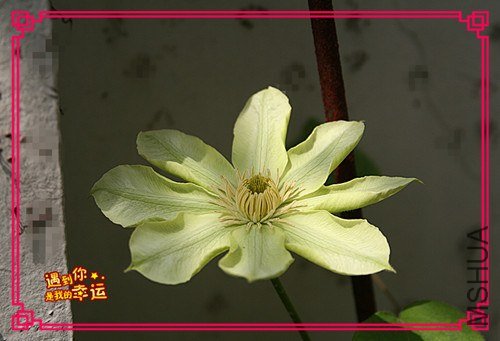 ��Ƭ 044_����.jpg