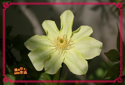 ��Ƭ 045_����.jpg