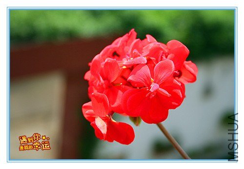 ��Ƭ 116_����.jpg