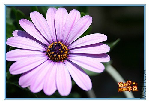 ��Ƭ 119_����.jpg