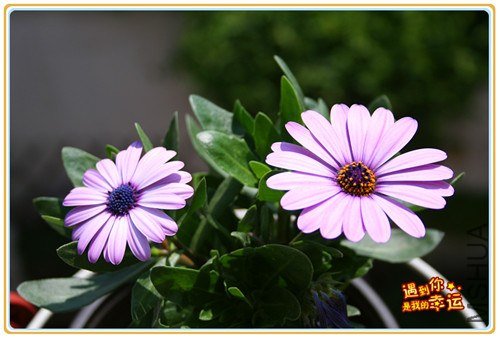 ��Ƭ 118_����.jpg