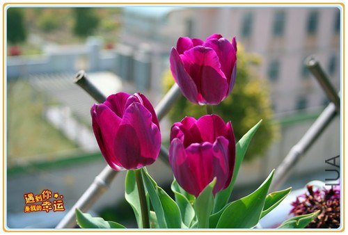 ��Ƭ 031_����.jpg