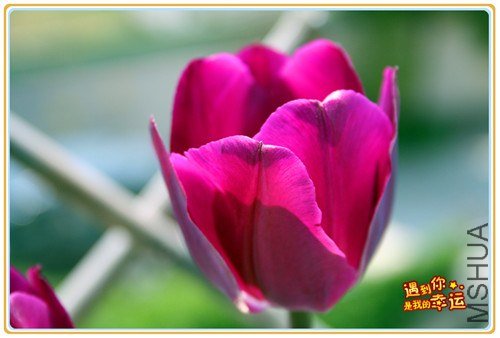 ��Ƭ 033_����.jpg