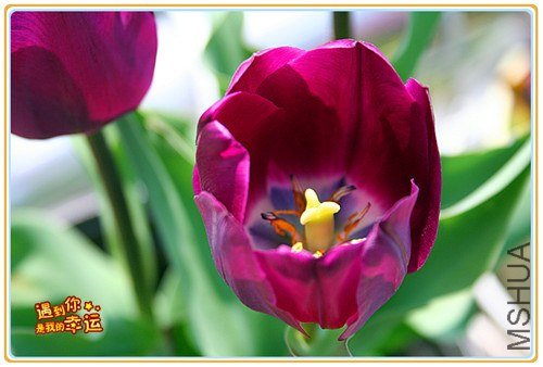 ��Ƭ 036_����.jpg