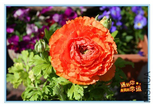 ��Ƭ 058_����.jpg