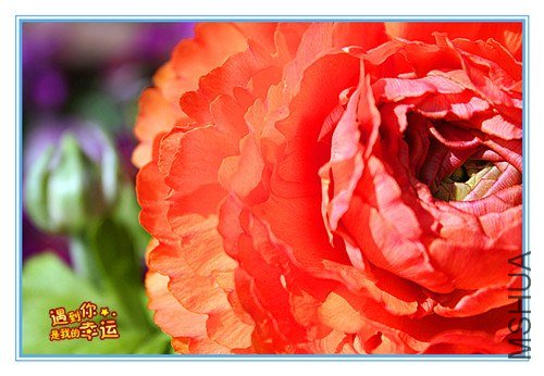 ��Ƭ 060_����.jpg