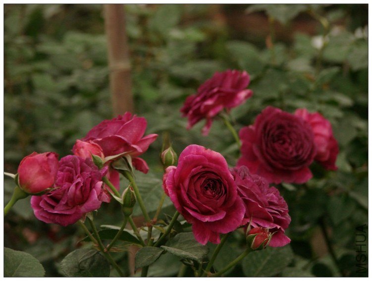 ����֮��