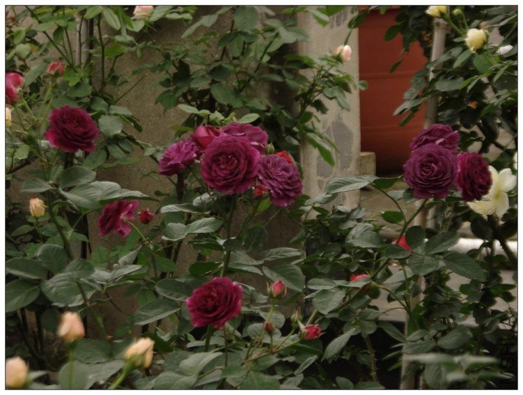 ����֮��