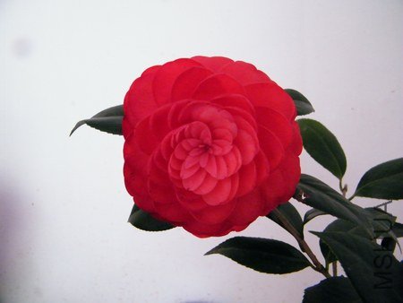 130409 003.jpg