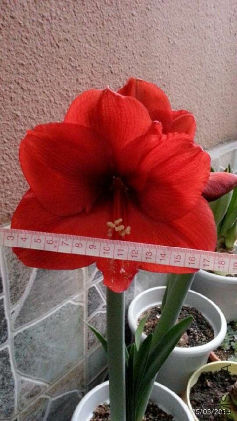 ������20130325.jpg
