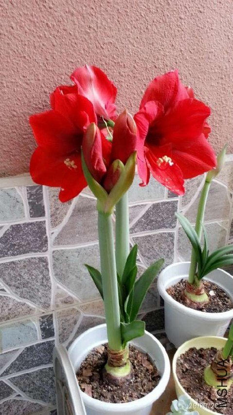 ������20130328.jpg