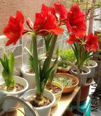 ������20130330--.jpg