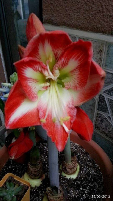 ����ȸ20130318 .jpg